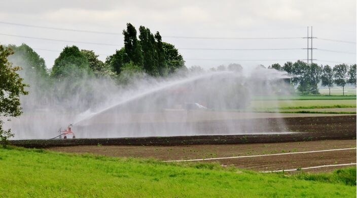 Foto gemaakt door Ton Wesselius - Vredeburg - Je zou het na alle nattigheid van het voorjaar niet zeggen, maar we lijken in Nederland toch weer een periode van droogte af te stevenen.