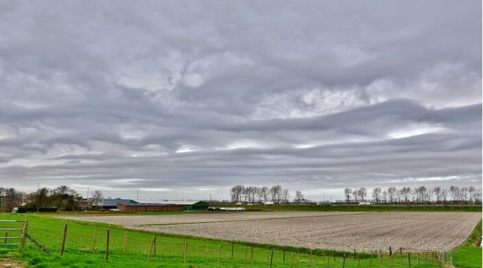 Foto gemaakt door Ton Wesselius - Oude-Wetering