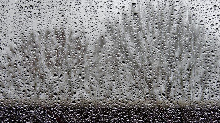 Foto gemaakt door Ton Wesselius - Roelofarendsveen - Het zicht op winterweer wordt door lagedrukgebieden en regen steeds vertroebeld. 