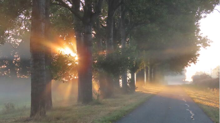 Foto gemaakt door Jan Horde - Acquoy - Mistige zonsopkomst na een koude zomernacht.