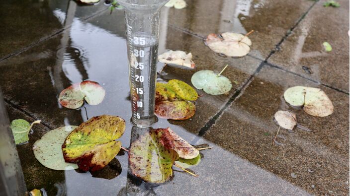 Foto gemaakt door Jolanda Bakker  - Zevenhuizen - Op veel plekken viel gisteren meer dan 30 mm, waardoor de regenmeters vol zaten. Pas bij 50 mm spreken we van een dag met zware neerslag.