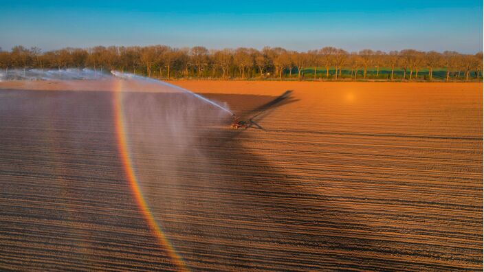 Foto gemaakt door Hans van Loenen - Achter-Drempt - Akkers kleuren oranje tijdens het besproeien in de zonnige vroege ochtenduren