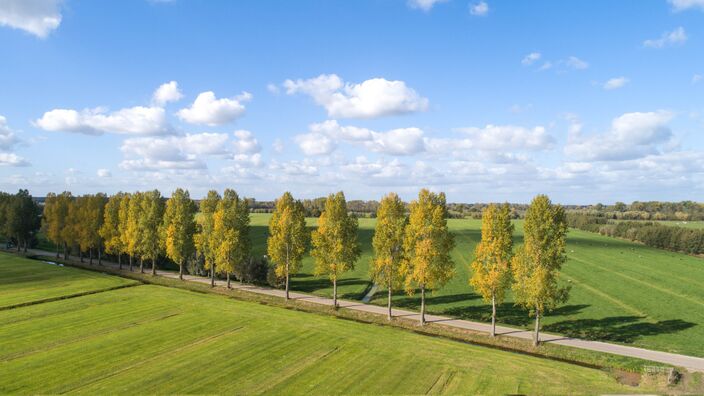 Foto gemaakt door Ab Donker - Buurmalsen - Waar veel mensen bij herfst aan wind en regen denken, is de werkelijkheid veel rustiger. En vandaag is dat niet anders.  De komende dagen is het zacht.