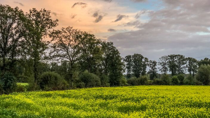 Foto gemaakt door Raymond Hofsté - Borne