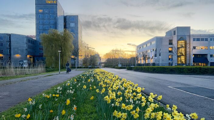 Foto gemaakt door Michel Looyenstein - Diemen - Voor degenen die het wachten op de echte lente nu echt lang genoeg vinden hebben geduurd, is verlossing in zicht. Vanaf zondag komen de zon en warmer weer.