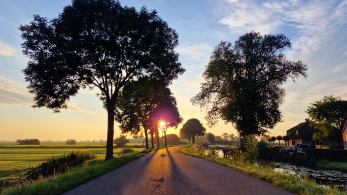 Foto gemaakt door Dilia van Zon - Schoonhoven - De zon laat zich weer vaker zien deze week