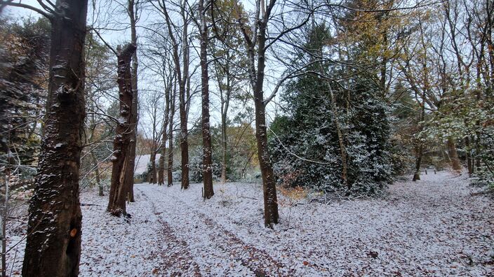 Foto gemaakt door  Theo Van Dalen - Putten