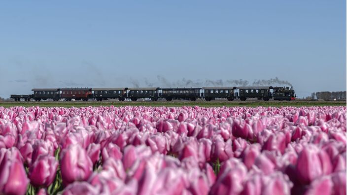 Foto gemaakt door Natasja Juist - Oostwoud - De nieuwe maand start met rustig en overwegend droog, vrij zonnig weer