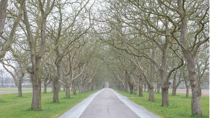 Foto gemaakt door Ab Donker - Buurmalsen - Het wordt de komende dagen niet alleen kouder, donderdag is er ook kans op een winterse bui. Rond het weekend kan het in de nachten verder flink vriezen.