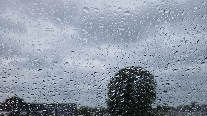 Foto gemaakt door Theo van Dalen - Putten - Regen