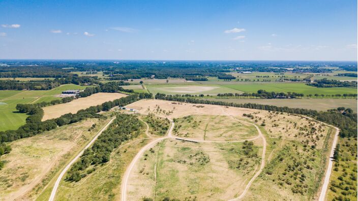 Foto gemaakt door Jos Hebben - Altweerterheide
