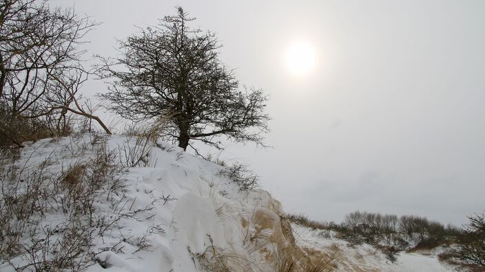 Foto gemaakt door Gieny Westra - Katwijk - Sneeuw en een zonnetje. Wat gaat de komende vorst ons brengen? 