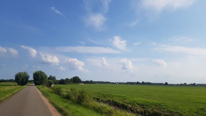 Foto gemaakt door Ellen van Balderen - Tienhoven - Cumuluswolken boven weiland op een zomerse dag