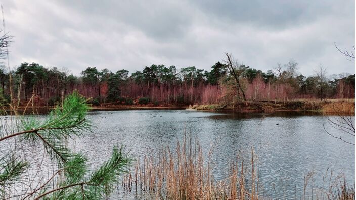 Foto gemaakt door Jolanda Pelkmans - De eerste winterhelft is verliep erg zacht en zonder noemenswaardig winterweer.