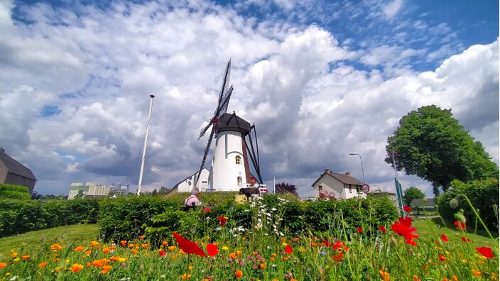 Foto gemaakt door Jos Hebben - Weert