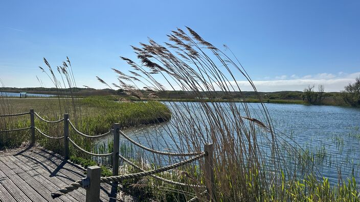 Foto gemaakt door Bianca Poppelier - Wijk aan zee 