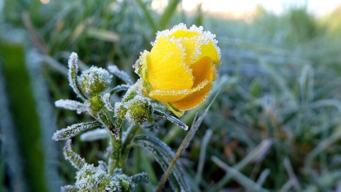 Foto gemaakt door Willy Bonnink - Winterswijk