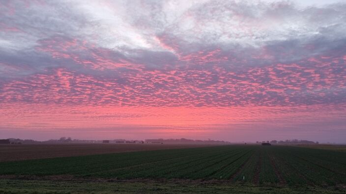 Foto gemaakt door Frans Alderse Baas - Texel - Een prachtige ochtend op Texel.