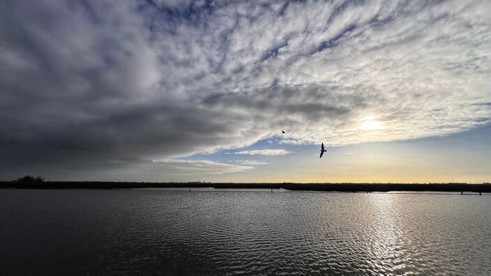 Foto gemaakt door Peter van Beest - Burgerveen