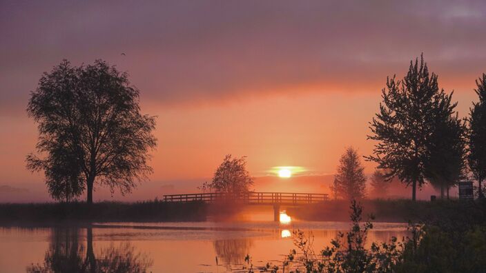 Foto gemaakt door Fas Vermeulen - Bodegraven - Oranje roze zonsopkomst toont al meer vocht in de lucht