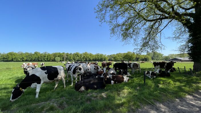 Foto gemaakt door Raymond Hofsté - Hof van Twente - Het imago van een vakantie in eigen land heeft duidelijk profijt gehad van de coronajaren. Maar ook de klimaatverandering helpt een handje mee.