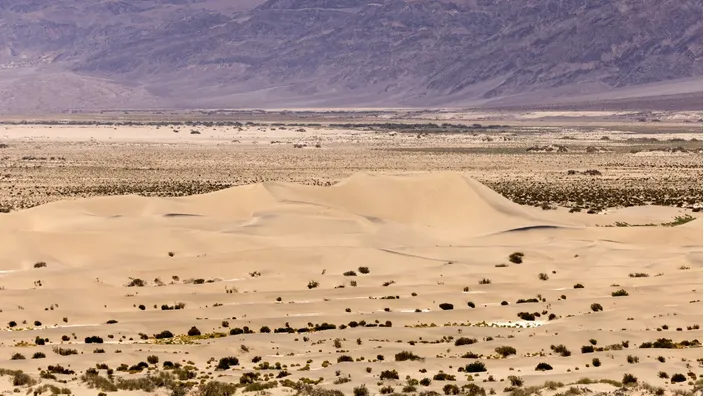 Foto gemaakt door Etienne Laurent / Getty Images - Mesquite Flat Sand Dunes - Death Valley werd nog heter dan normaal tijdens de intense hittegolf