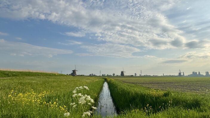 Foto gemaakt door Jolanda Bakker - Zevenhuizen