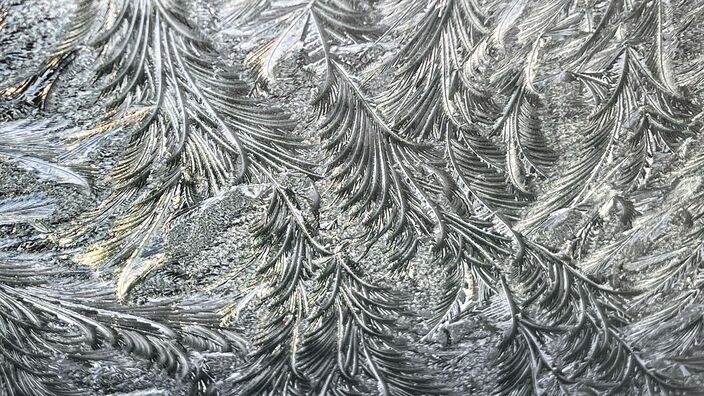 Foto gemaakt door Peter van Beest - Boskoop - IJsbloemen als een kunstwerk op autoruit Foto gemaakt door Peter van Beest - Boskoop - IJsbloemen als een kunstwerk op autoruit