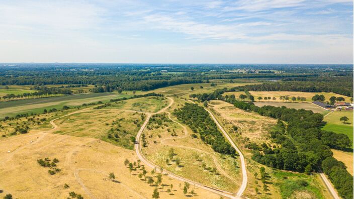 Foto gemaakt door Jos Hebben - Altweerterheide - Al drie zomers kleurt het landschap in Limburg geelbruin.