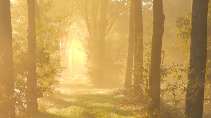 Foto gemaakt door Trudy Fortijn  - Leerdam