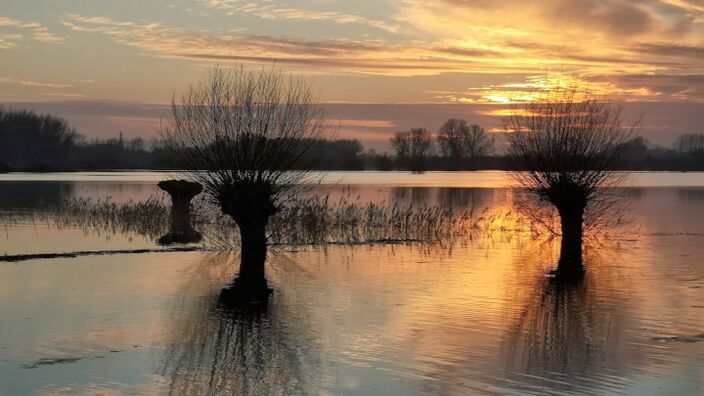 Foto gemaakt door Ton de Brabander - Wageningen - De uiterwaarden van de Rijn bij Wageningen