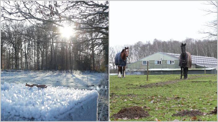 Foto gemaakt door Willy Bonnink - Winterswijk - De decembermaand kende heel duidelijk twee gezichten. 