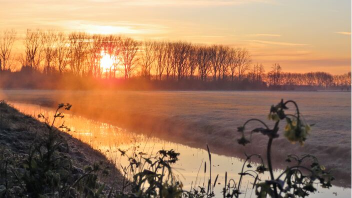 Foto gemaakt door Jan Horde - Leerdam - We hebben een koude nacht achter de rug. 