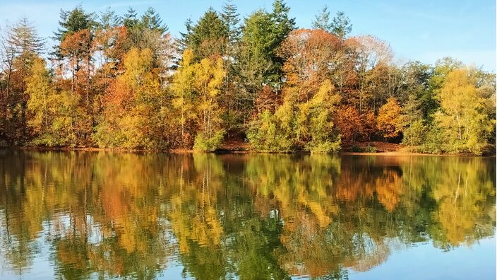 Foto gemaakt door Carlo Vreeswijk  - Oldenzaal - Herfstkleuren