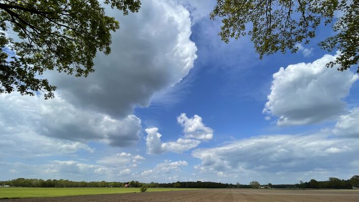 Foto gemaakt door Raymond Hofsté - Hof van Twente - Na de hitte van 2019, toen het Nederlands hitterecord werd verbroken, was het zomerkruit op. Gaat dat dit jaar weer zo? We bekijken het in de 30-daagse.