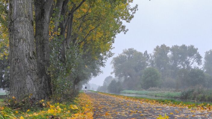 Foto gemaakt door Trudy Fortuin - van Es - Acquoy - Het is de komende dagen vrij zacht voor halverwege oktober