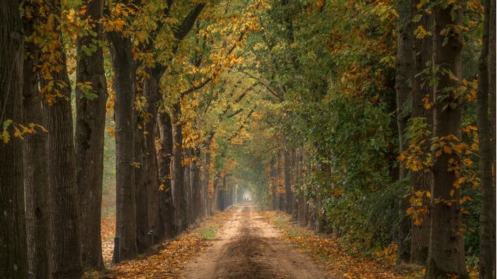 Foto gemaakt door Chris Biesheuvel - Over ruim een week begint de meteorologische herfst, mogelijk met behoorlijk koel weer. 
