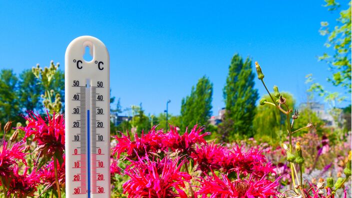 Foto gemaakt door Jos Hebben - Weert - Het zuidoosten telt dit jaar al 9 tropische dagen. Normaal zijn dit er 10 over het hele zomerseizoen.