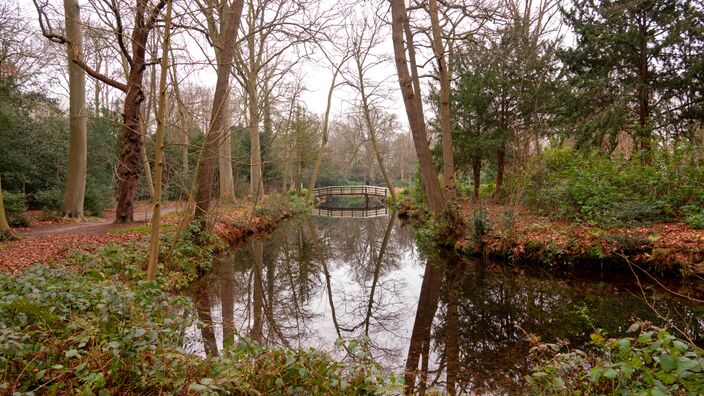 Foto gemaakt door Carla Versteege - Noordwijk