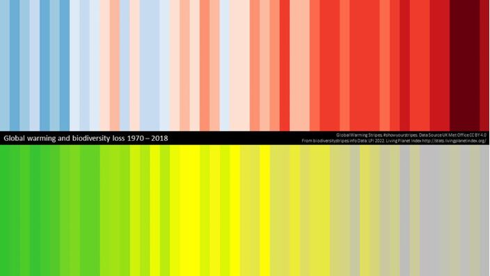 Foto gemaakt door Biodiversitystripes.info - Er is nu ook een streepjescode van de biodiversiteit en de biodiversiteit op aarde loopt snel terug. Het is dan ook tijd voor actie, vinden natuurorganisaties. 