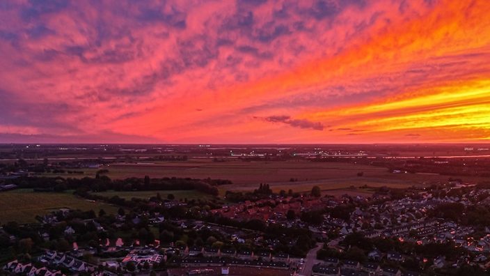 Foto gemaakt door Niek van Haren - Duiven Foto gemaakt door Niek van Haren - Duiven