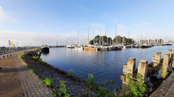 Foto gemaakt door Ab Donker - Enkhuizen - In Enkhuizen brak vrijdagochtend mooi het zonnetje door. Ook in het weekend gaan we de zon zien.