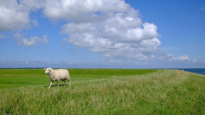 Foto gemaakt door Arco Visser - Terschelling