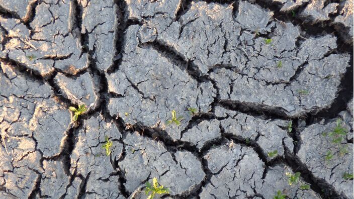 Foto gemaakt door Joost Mooij - Alphen aan den Rijn - De klimaatverandering versnelt, de extremen nemen toe.