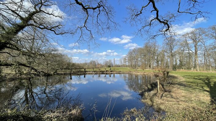 Foto gemaakt door Raymond Hofsté - Borne - Het weer slaat de komende dagen opnieuw om, maar of dit de definitieve doorbraak van de lente is, is nog onzeker. Vanaf eind volgende week ligt alles open.