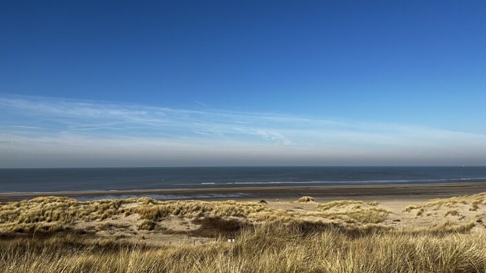 Foto gemaakt door John Dalhuijsen - Archieffoto