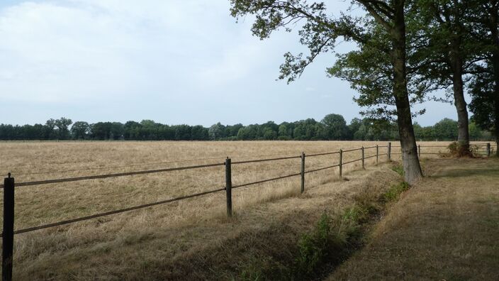 Foto gemaakt door Willy Bonnink - Winterswijk - Het verloop van de zomer van 2022 bij ons en in Europa is bijzonder, én goed te verklaren. Voer voor meteorologen die van lange termijnverwachtingen houden.