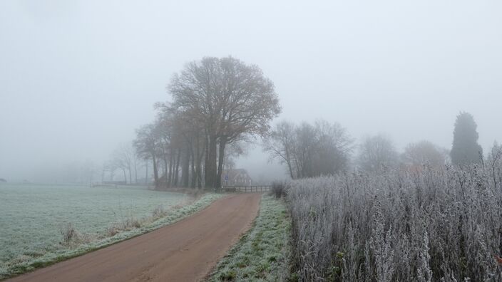 Foto gemaakt door Willy Bonnink - Winterswijk