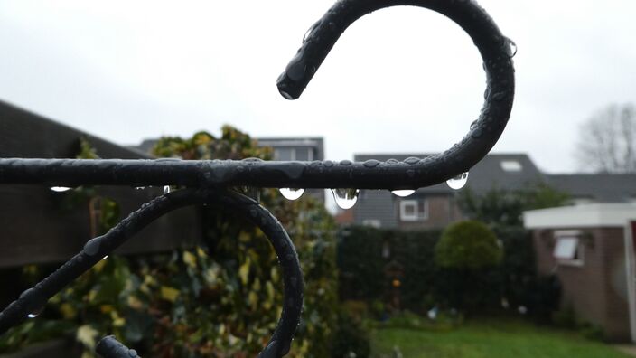 Foto gemaakt door Willy Bonnink - Winterswijk - Geen winter meer te bekennen