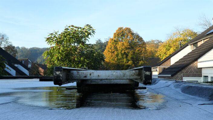 Foto gemaakt door Willy Bonnink - Winterswijk